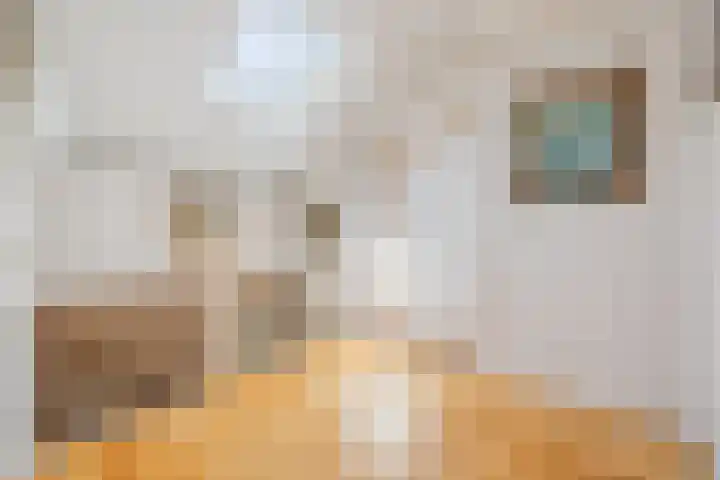 Nieuwediepstraat 13 Terneuzen thumbnail 13
