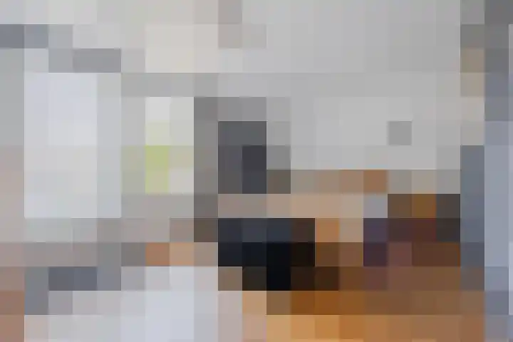 Nieuwediepstraat 13 Terneuzen thumbnail 14