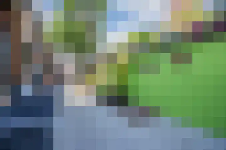 Nieuwediepstraat 13 Terneuzen thumbnail 24