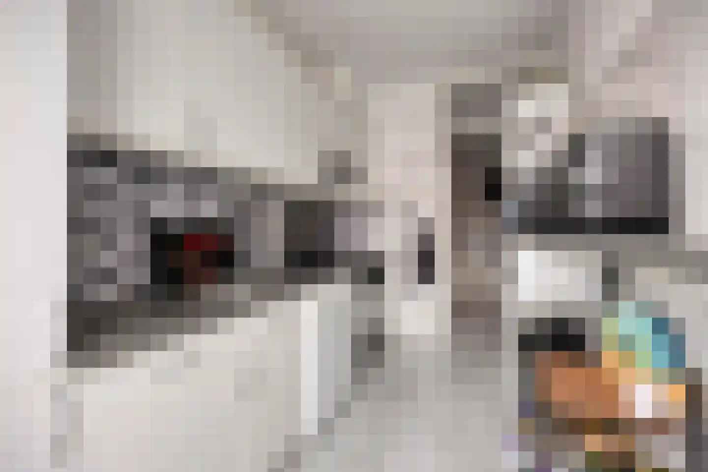 Nieuwediepstraat 15 Den Haag thumbnail 11