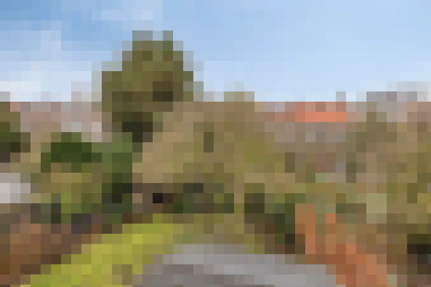 Nieuwediepstraat 15 Den Haag thumbnail 14