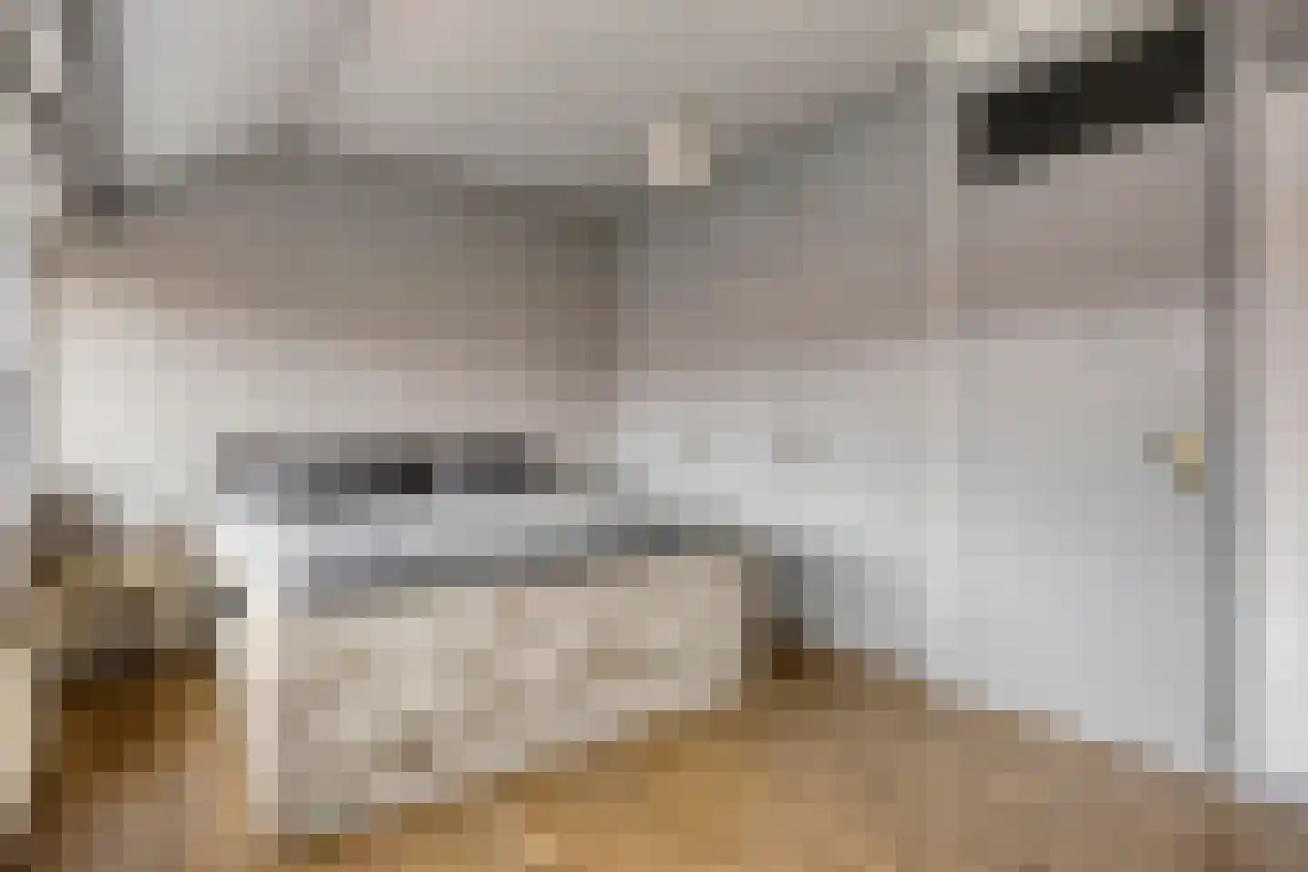 Nieuwediepstraat 15 Den Haag thumbnail 19