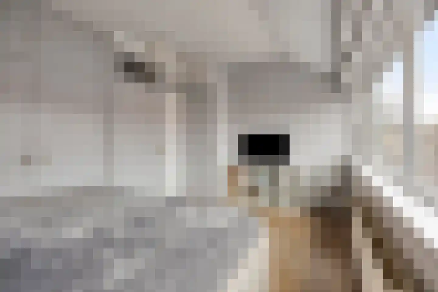 Nieuwediepstraat 15 Den Haag thumbnail 20