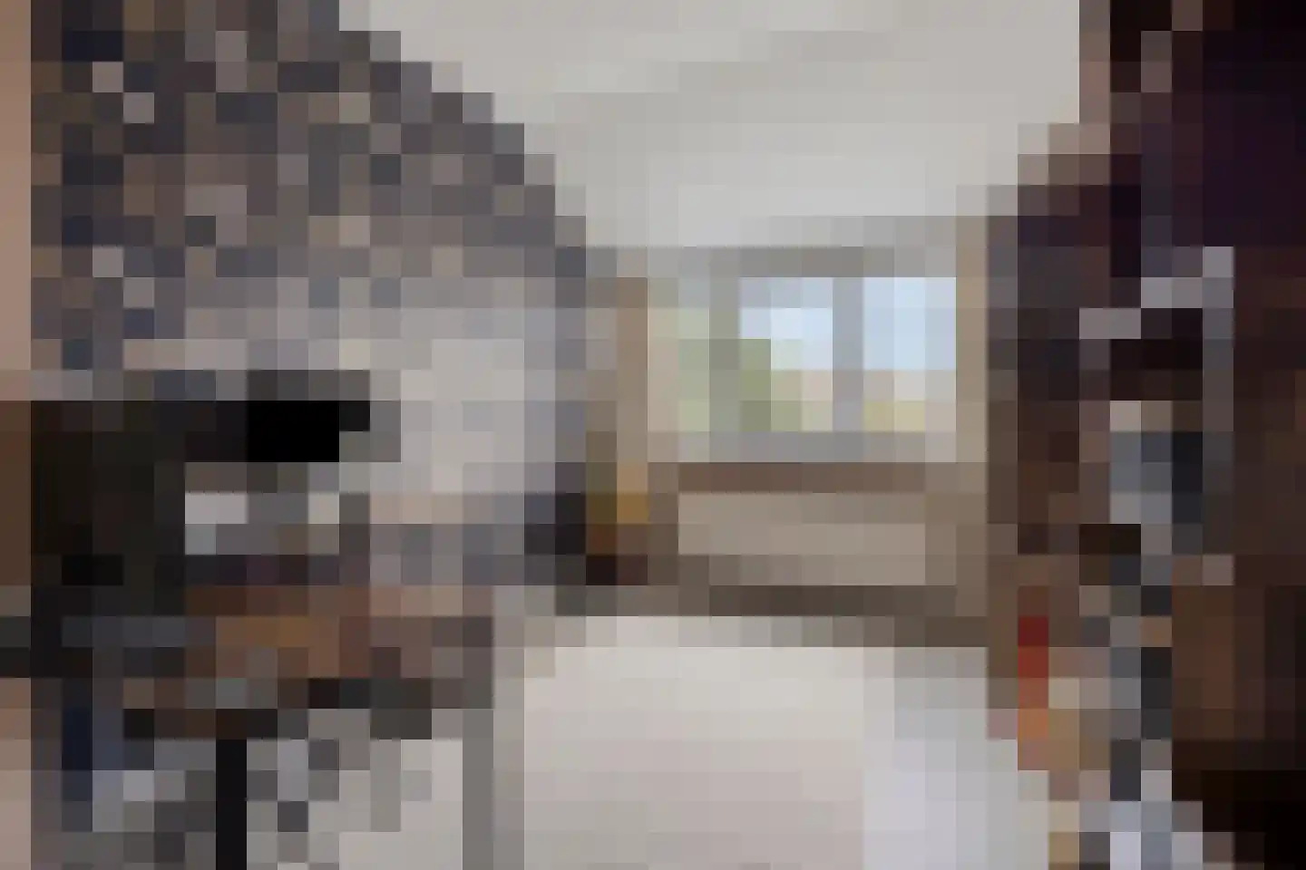 Nieuwediepstraat 15 Den Haag thumbnail 22