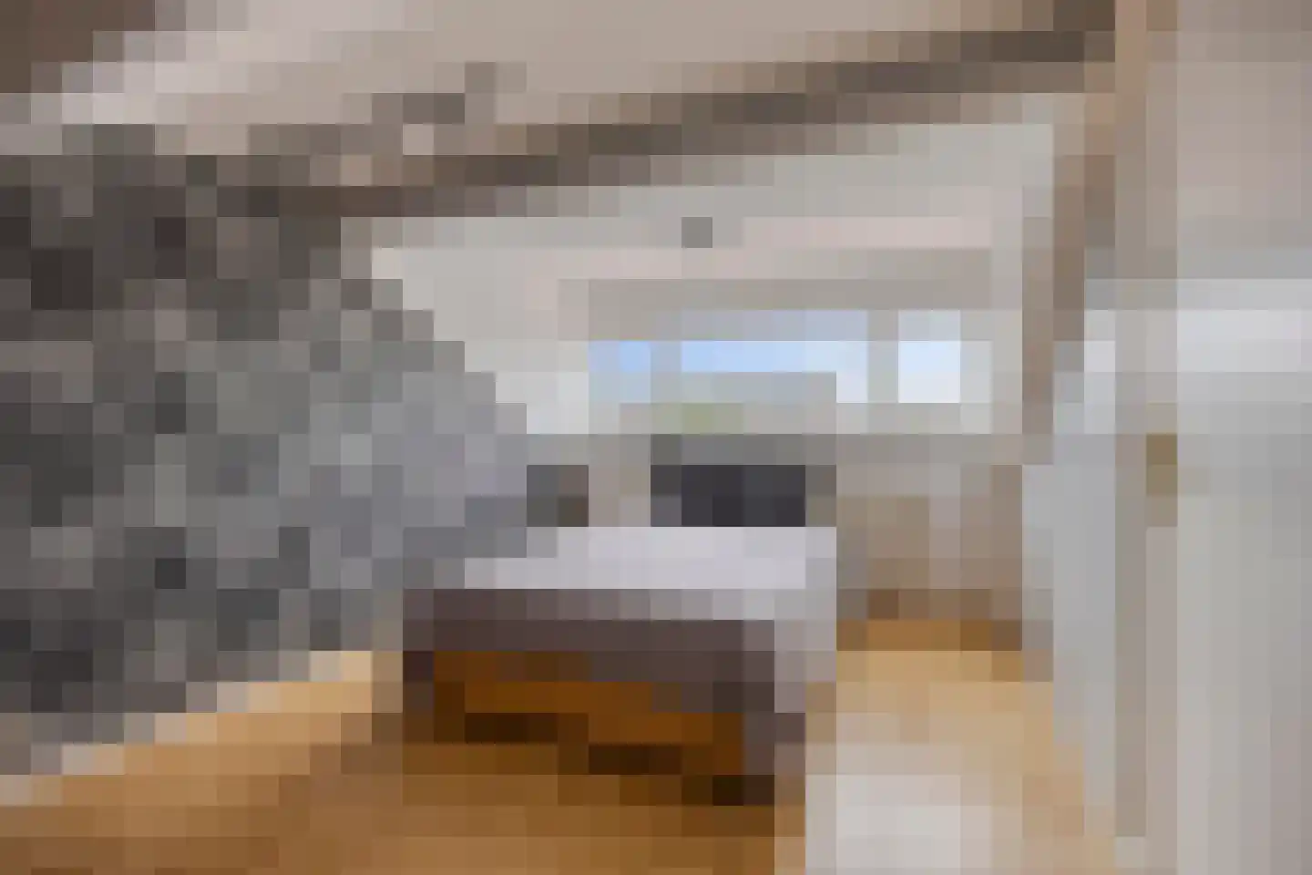 Nieuwediepstraat 15 Den Haag thumbnail 28