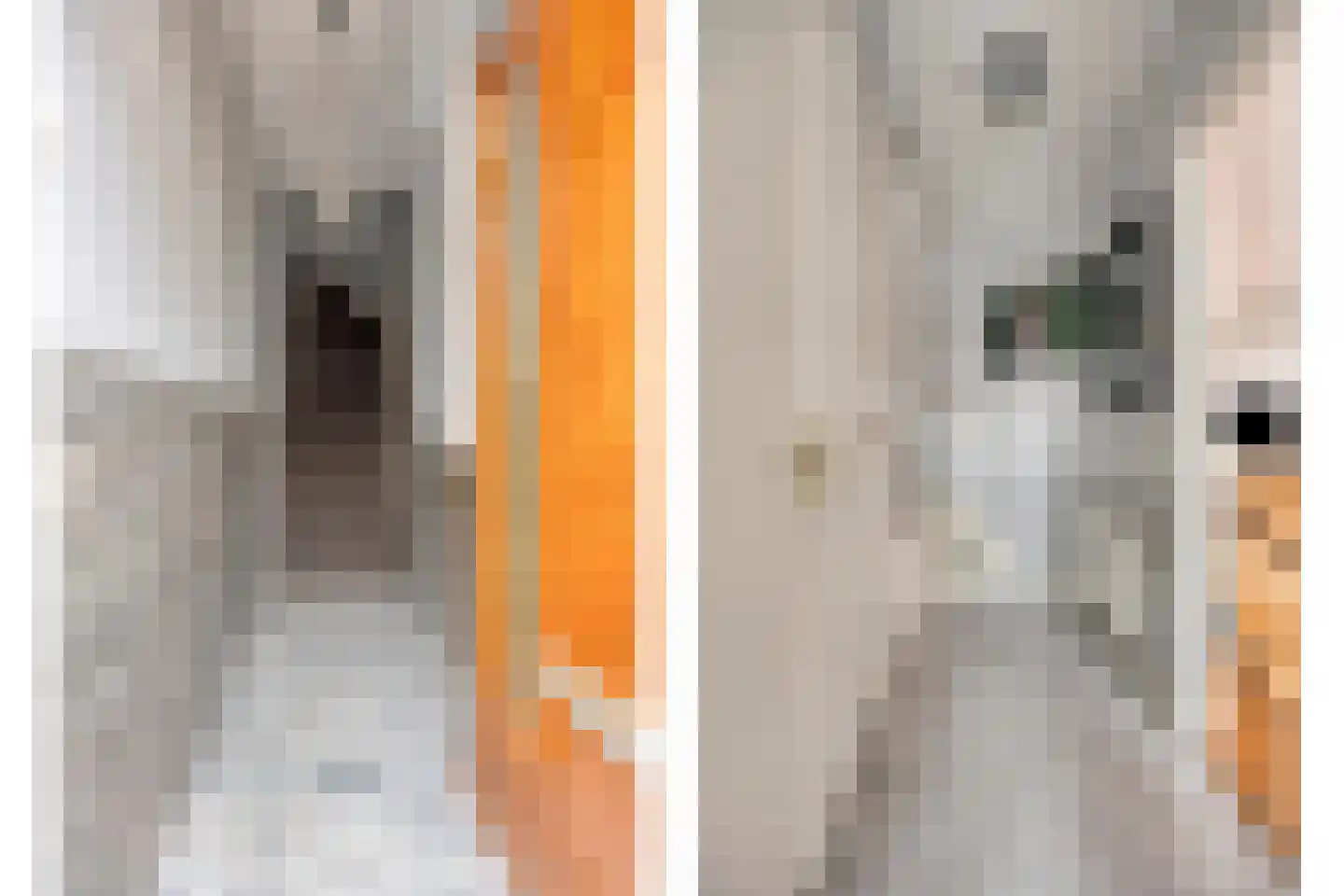 Nieuwediepstraat 15 Den Haag thumbnail 9