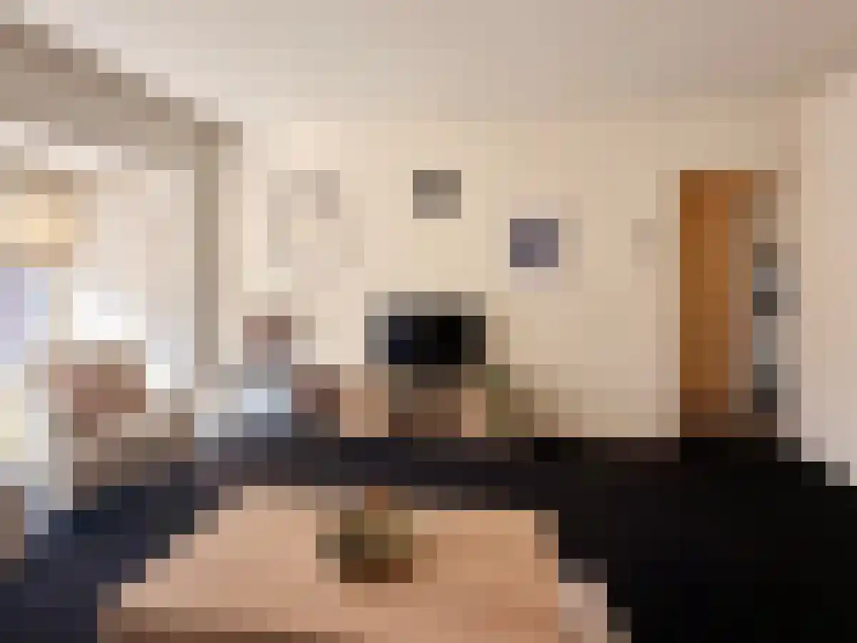 Nieuwediepstraat 15 Terneuzen thumbnail 4