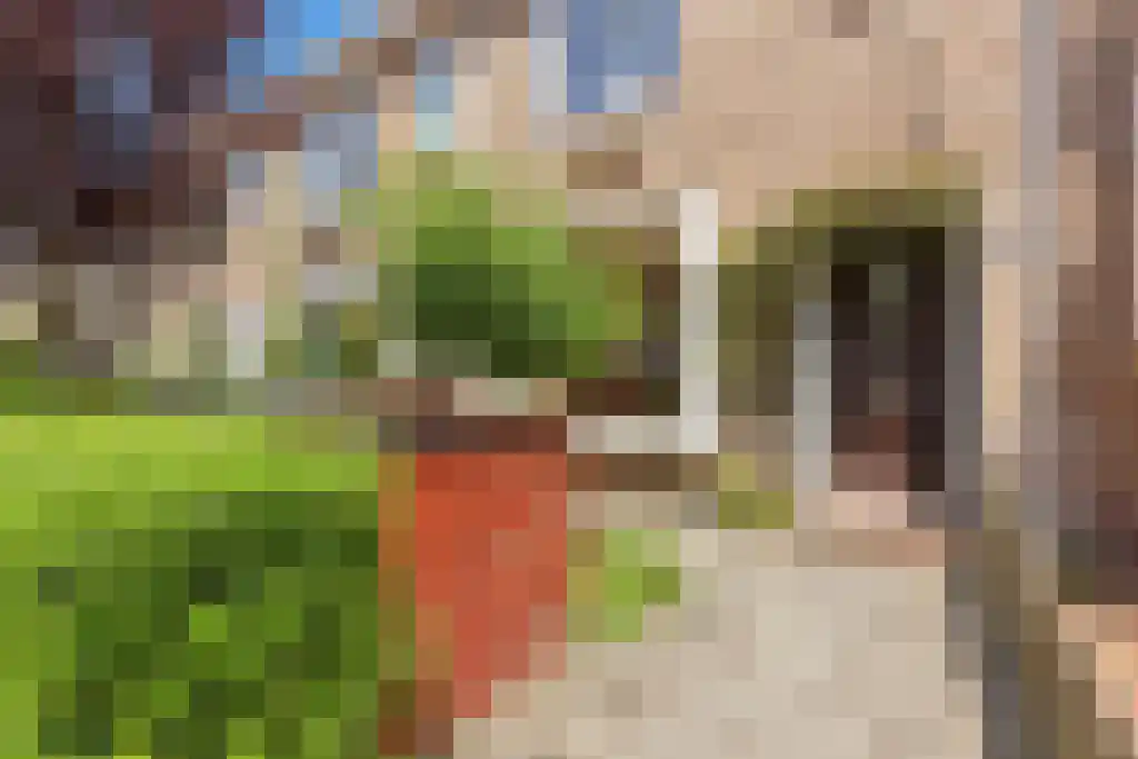 Nieuwediepstraat 56 Den Haag thumbnail 5