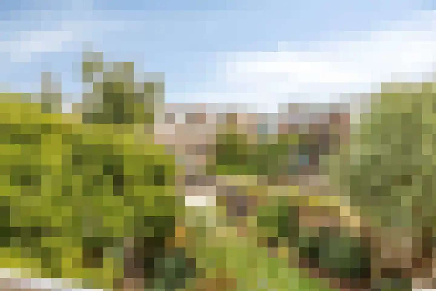 Nieuwediepstraat 82 Den Haag thumbnail 18