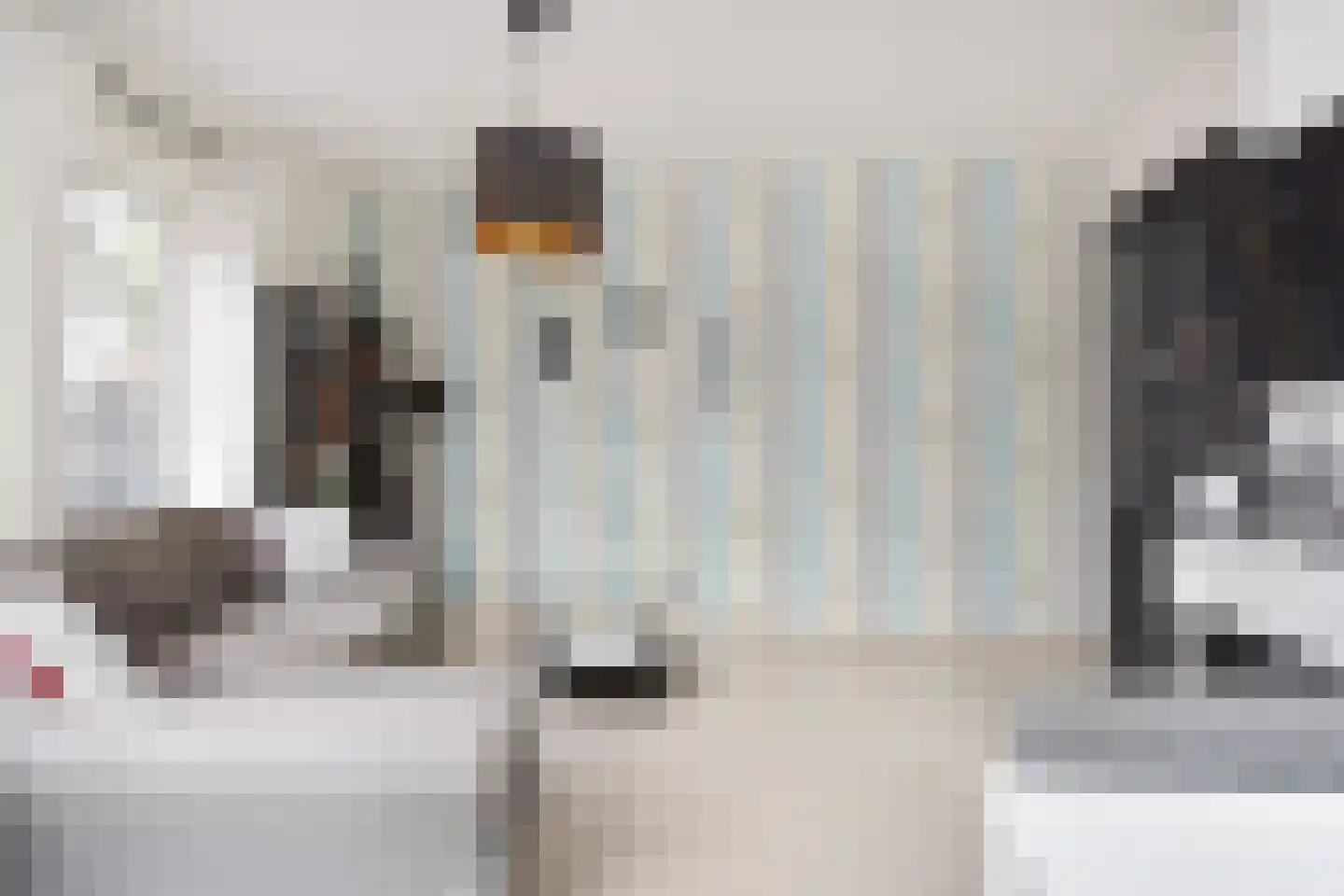 Nieuwediepstraat 98 Den Haag thumbnail 18