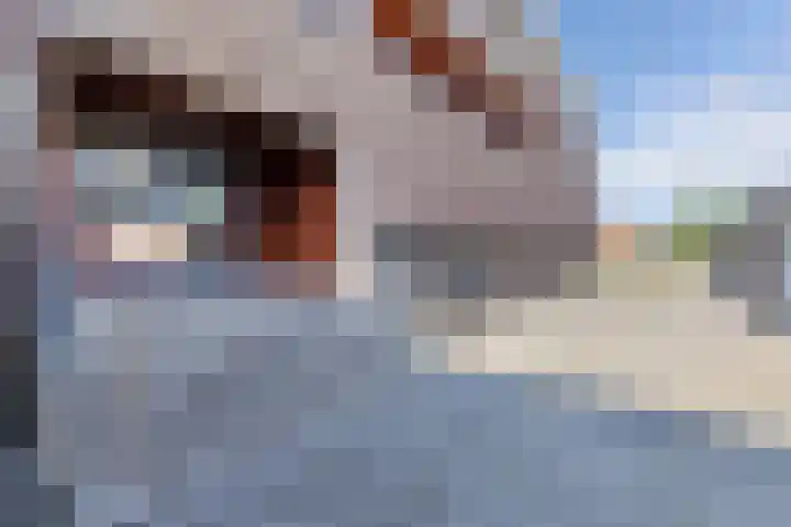 Nieuwedijk 16 B Lemmer thumbnail 7