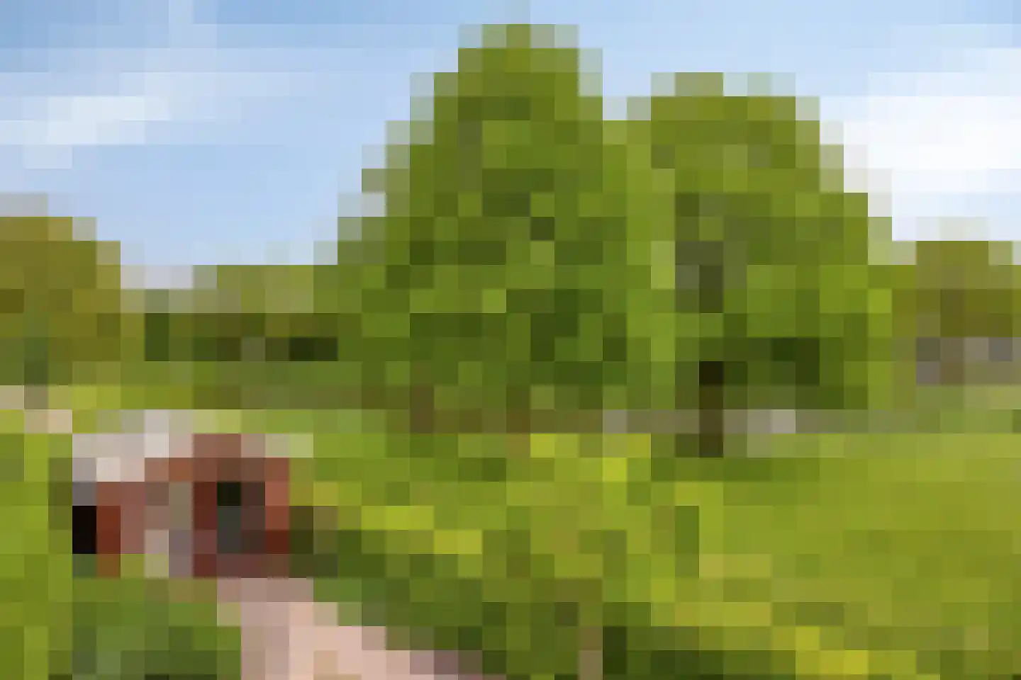 Nieuwedijk 35 Alphen aan den Rijn thumbnail 11