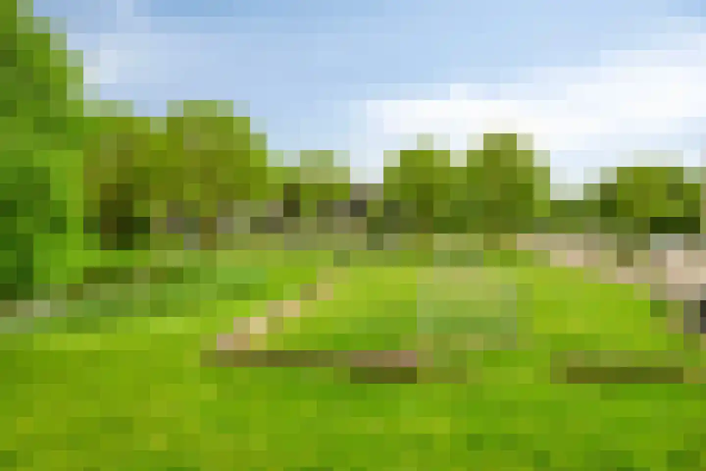 Nieuwedijk 35 Alphen aan den Rijn thumbnail 4