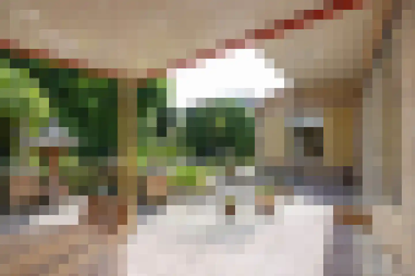 Nieuwedijk 38 Enschede thumbnail 31