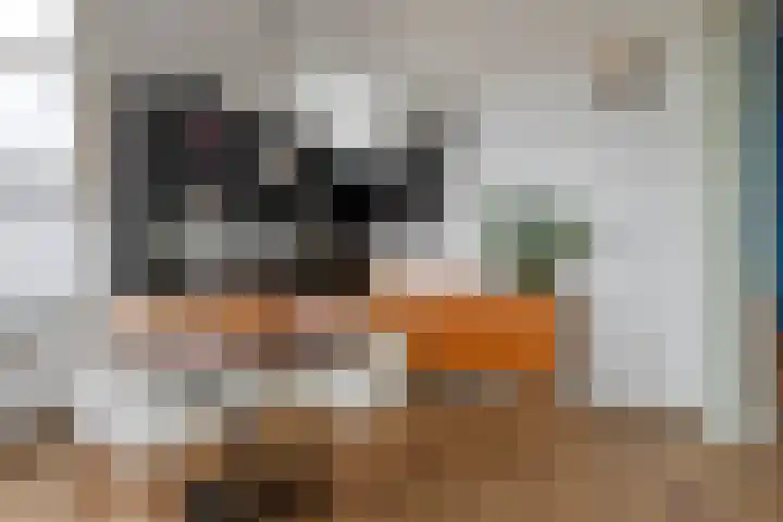 Nieuwedijk 51 Lemmer thumbnail 13