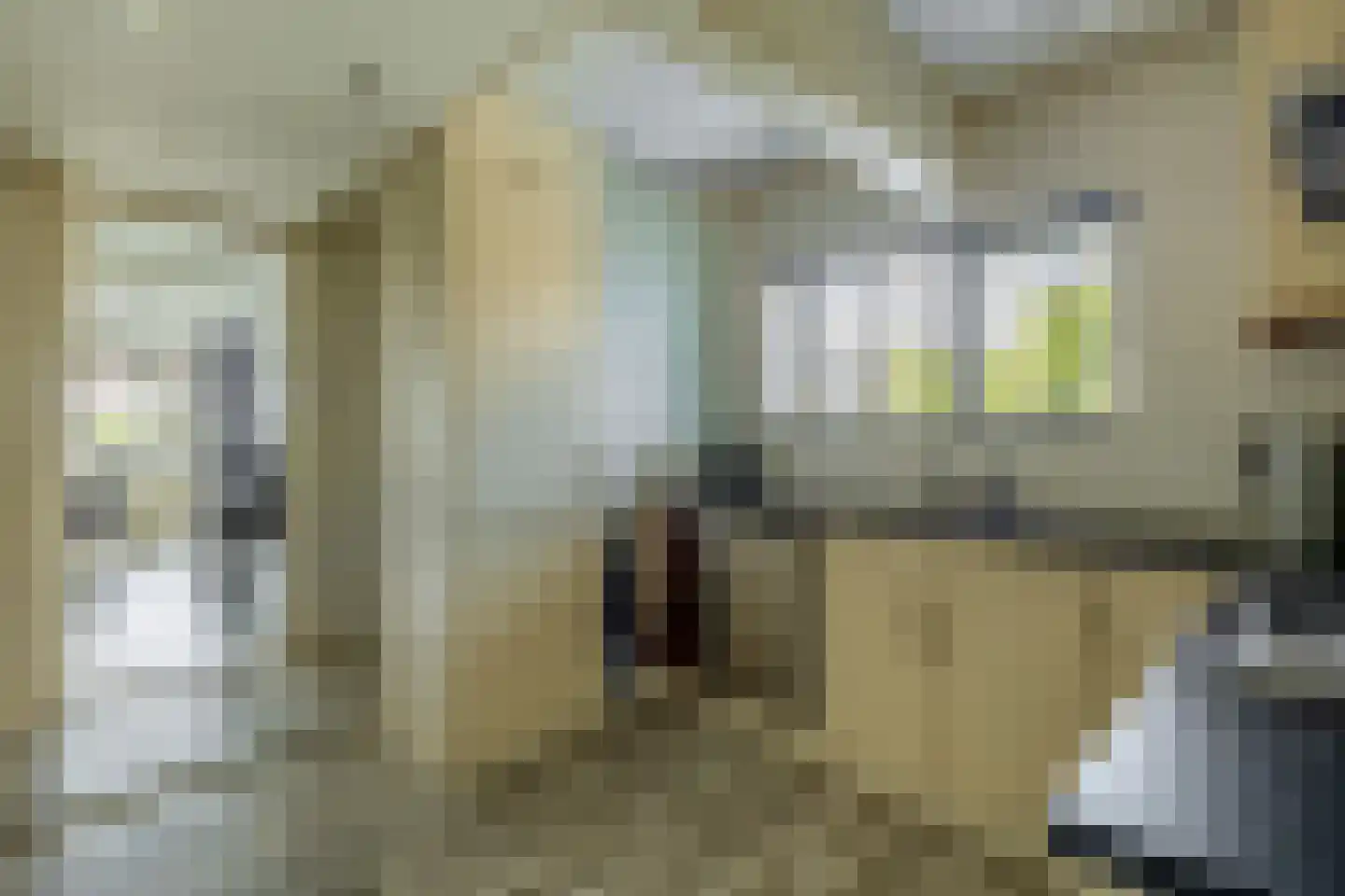 Nieuwedijk 52 Lemmer thumbnail 8
