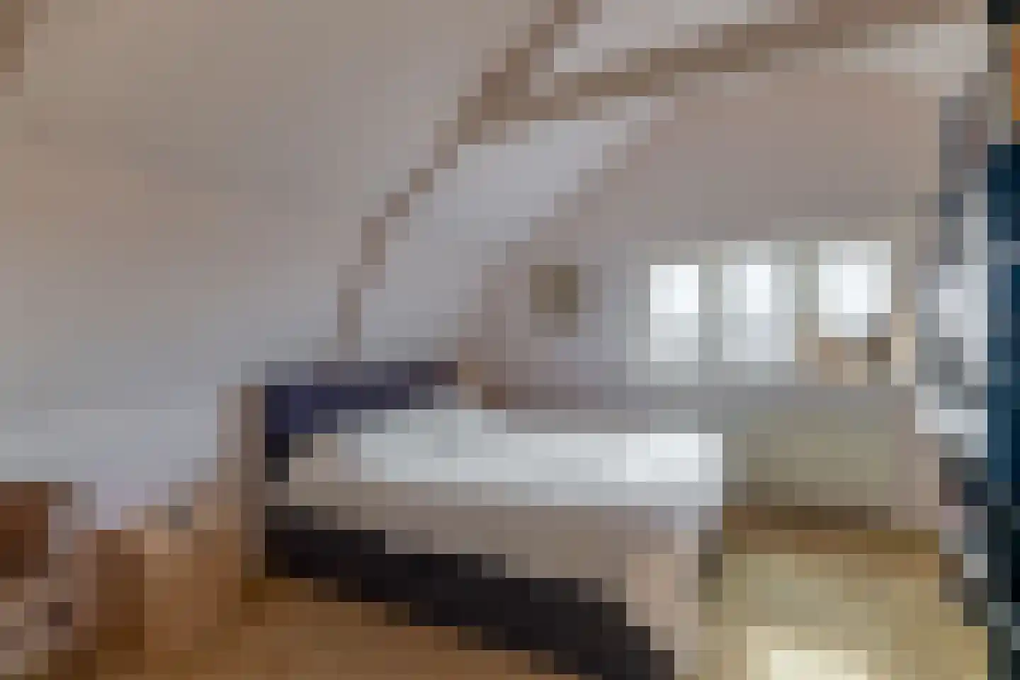 Nieuwedijk 67 Lemmer thumbnail 43