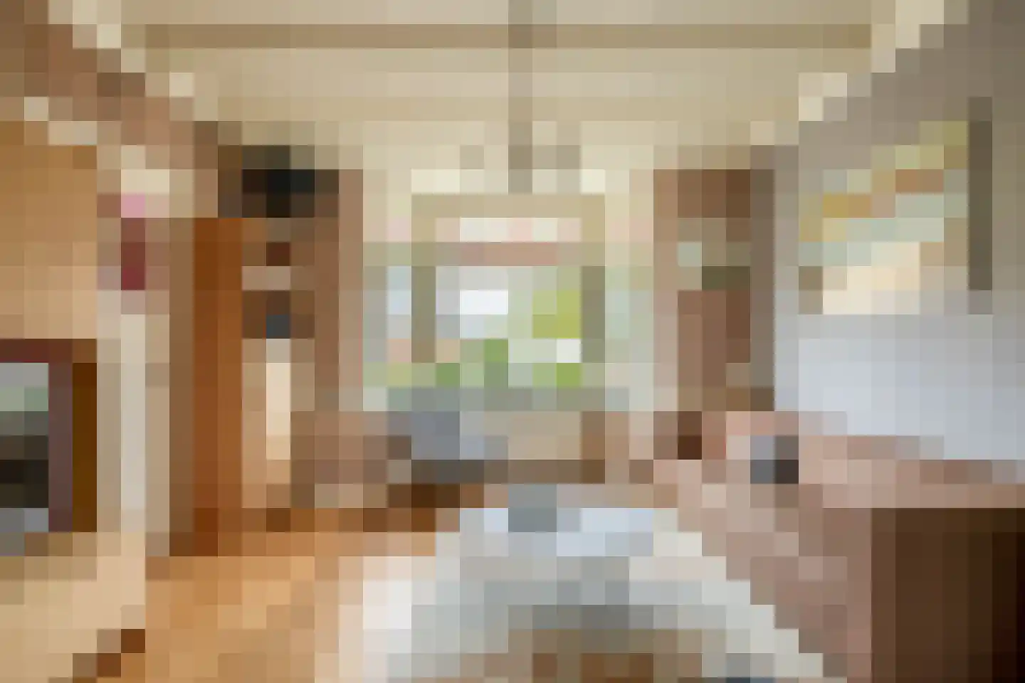 Nieuwedijk 69 Lemmer thumbnail 11