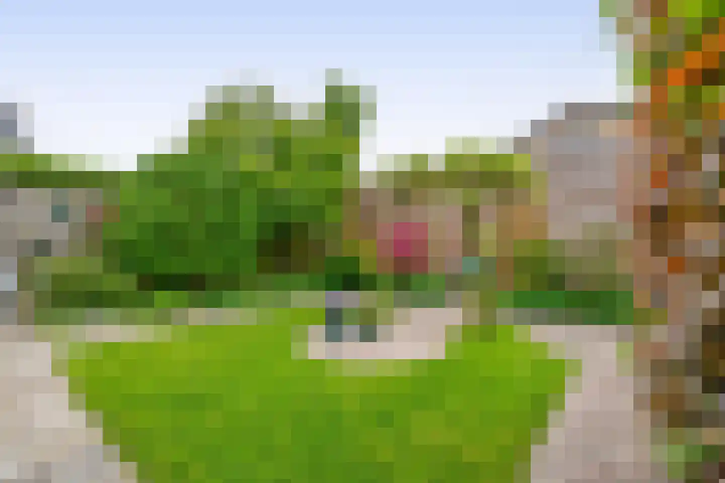 Nieuwedijk 69 Lemmer thumbnail 26