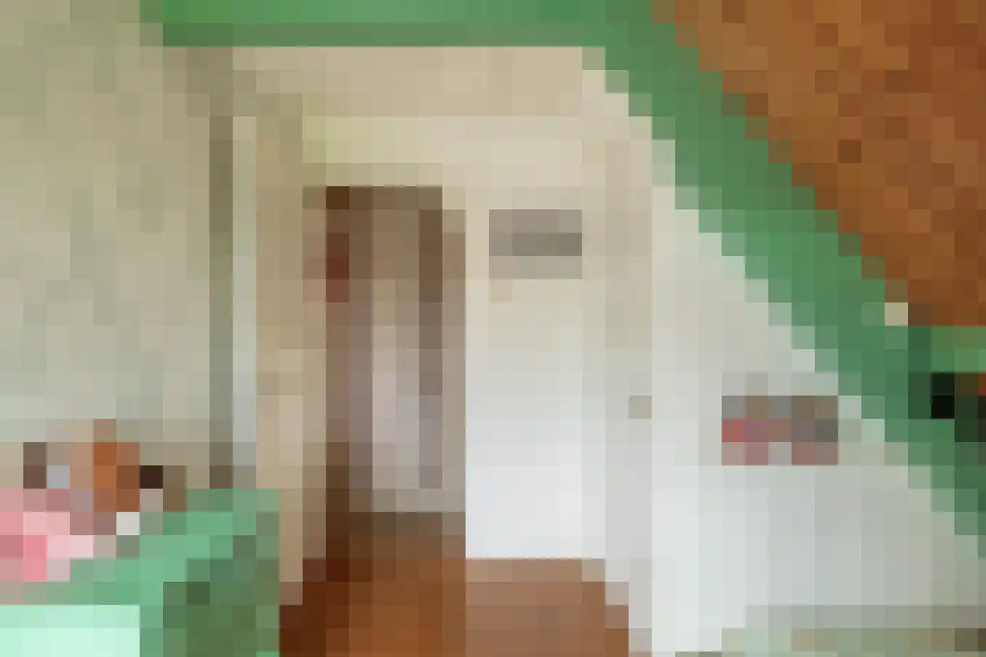 Nieuwedijk 69 Lemmer thumbnail 36