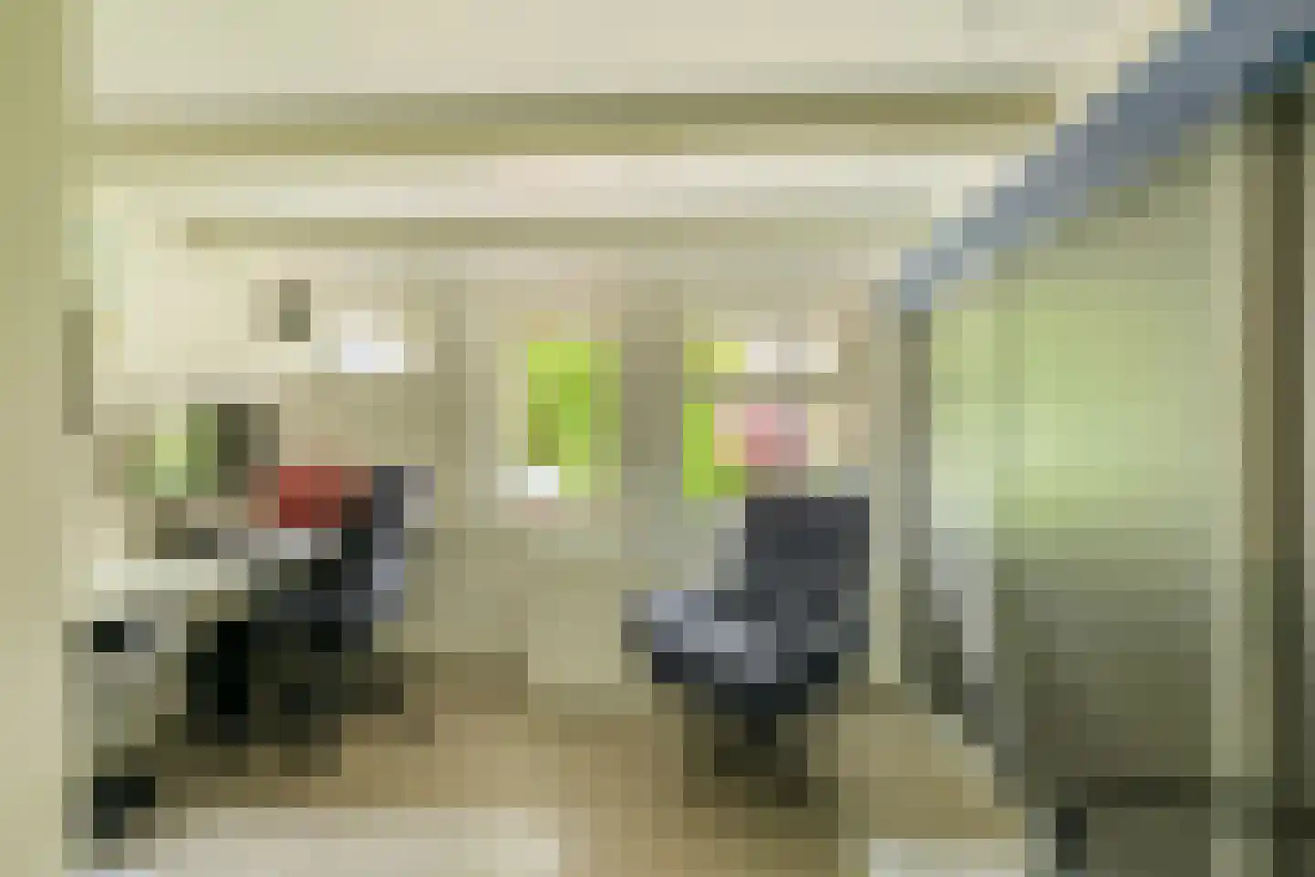 Nieuwedijk 69 Lemmer thumbnail 40
