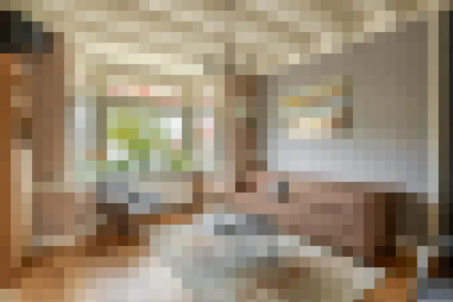Nieuwedijk 69 Lemmer thumbnail 8