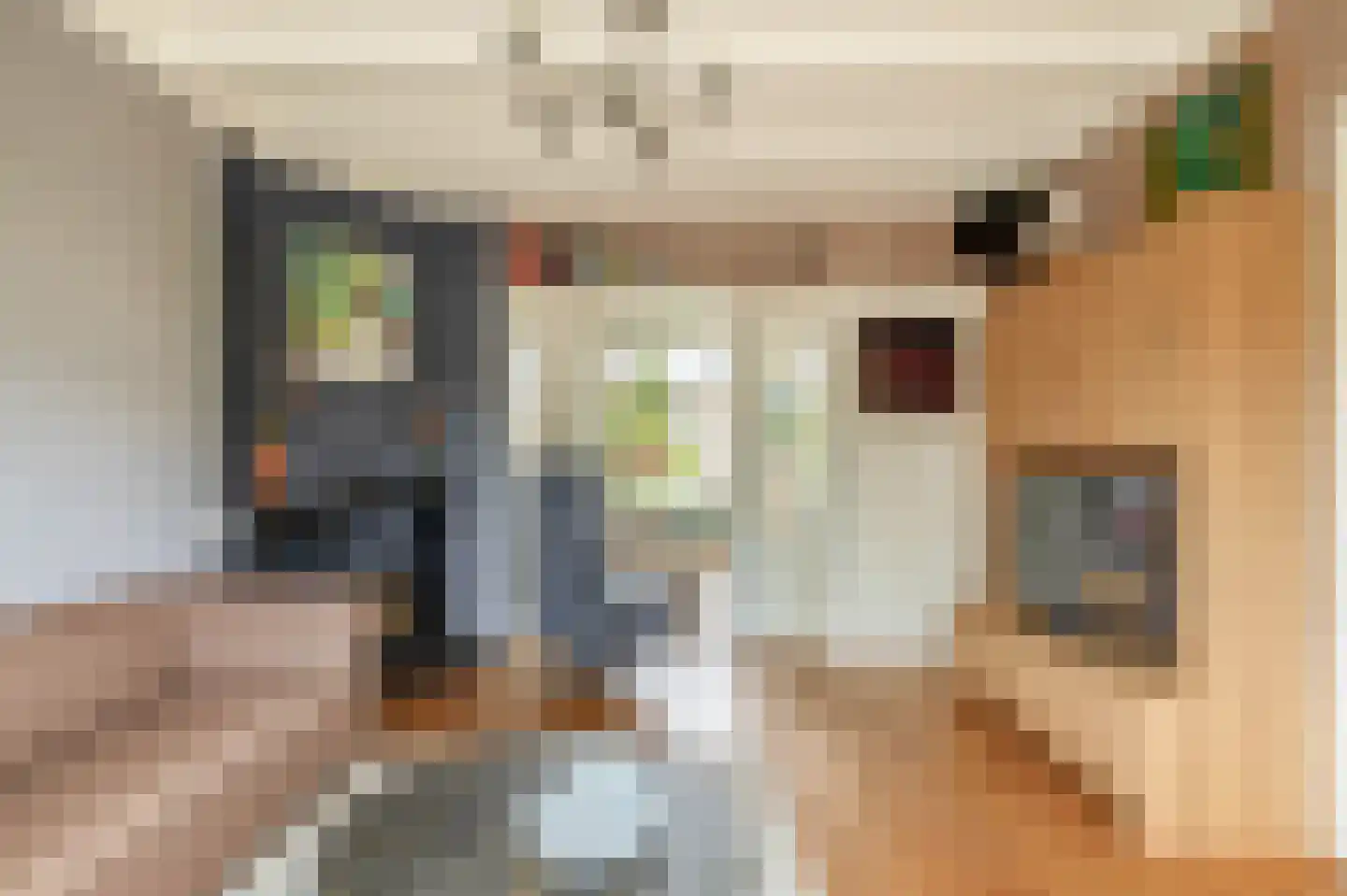 Nieuwedijk 69 Lemmer thumbnail 9