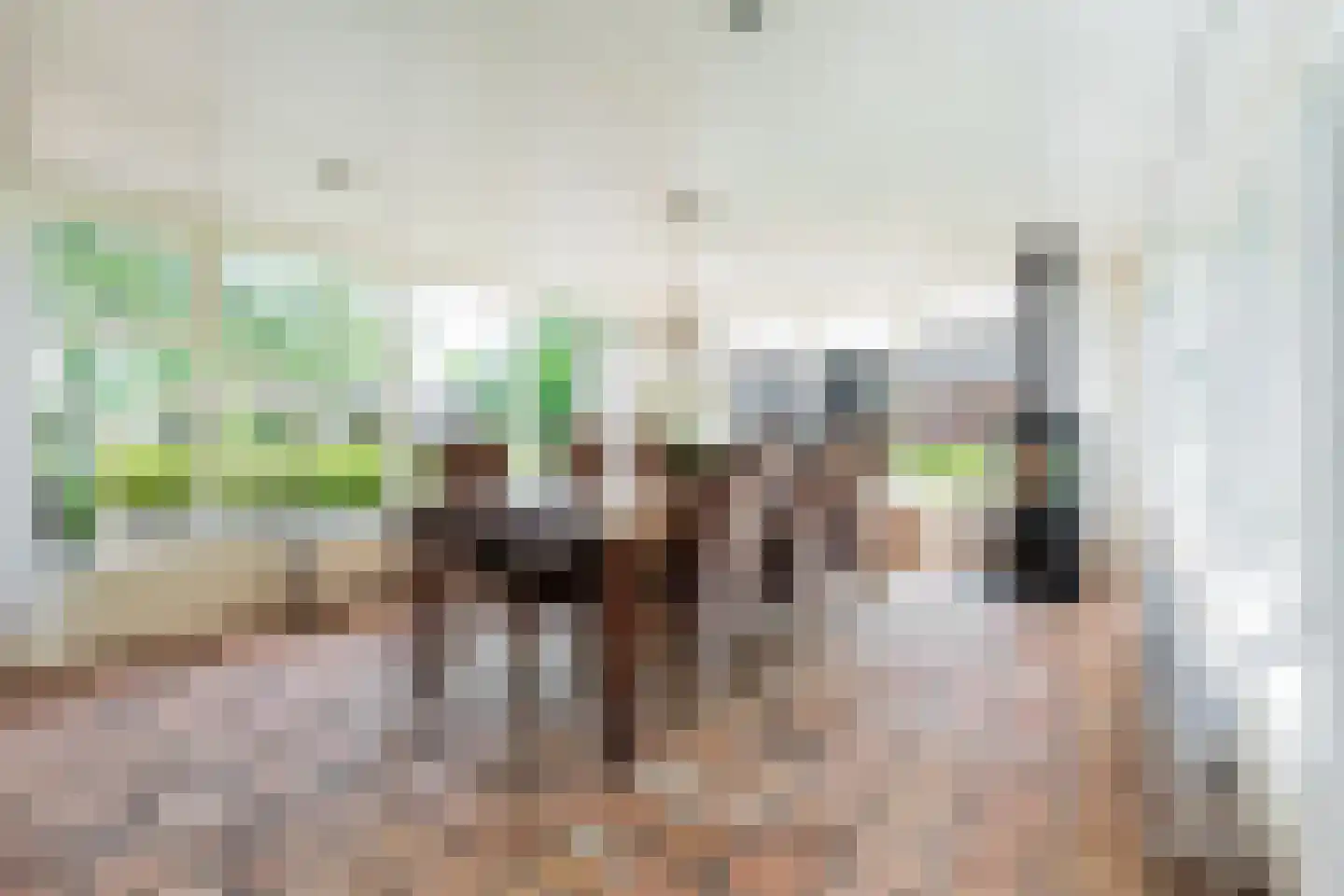Nieuwedijk 9 Eexterzandvoort thumbnail 10