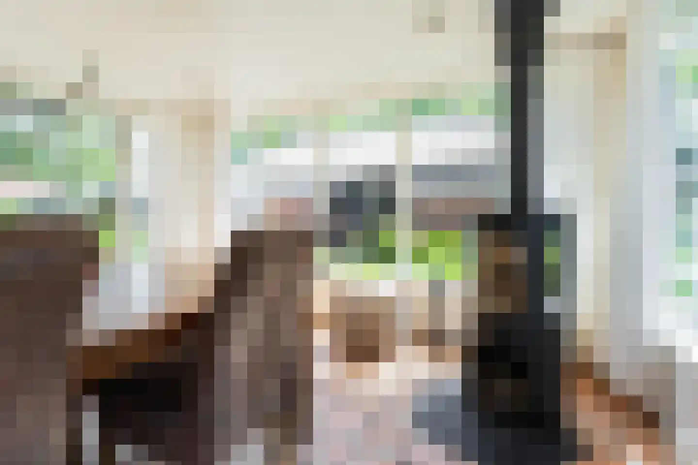 Nieuwedijk 9 Eexterzandvoort thumbnail 11
