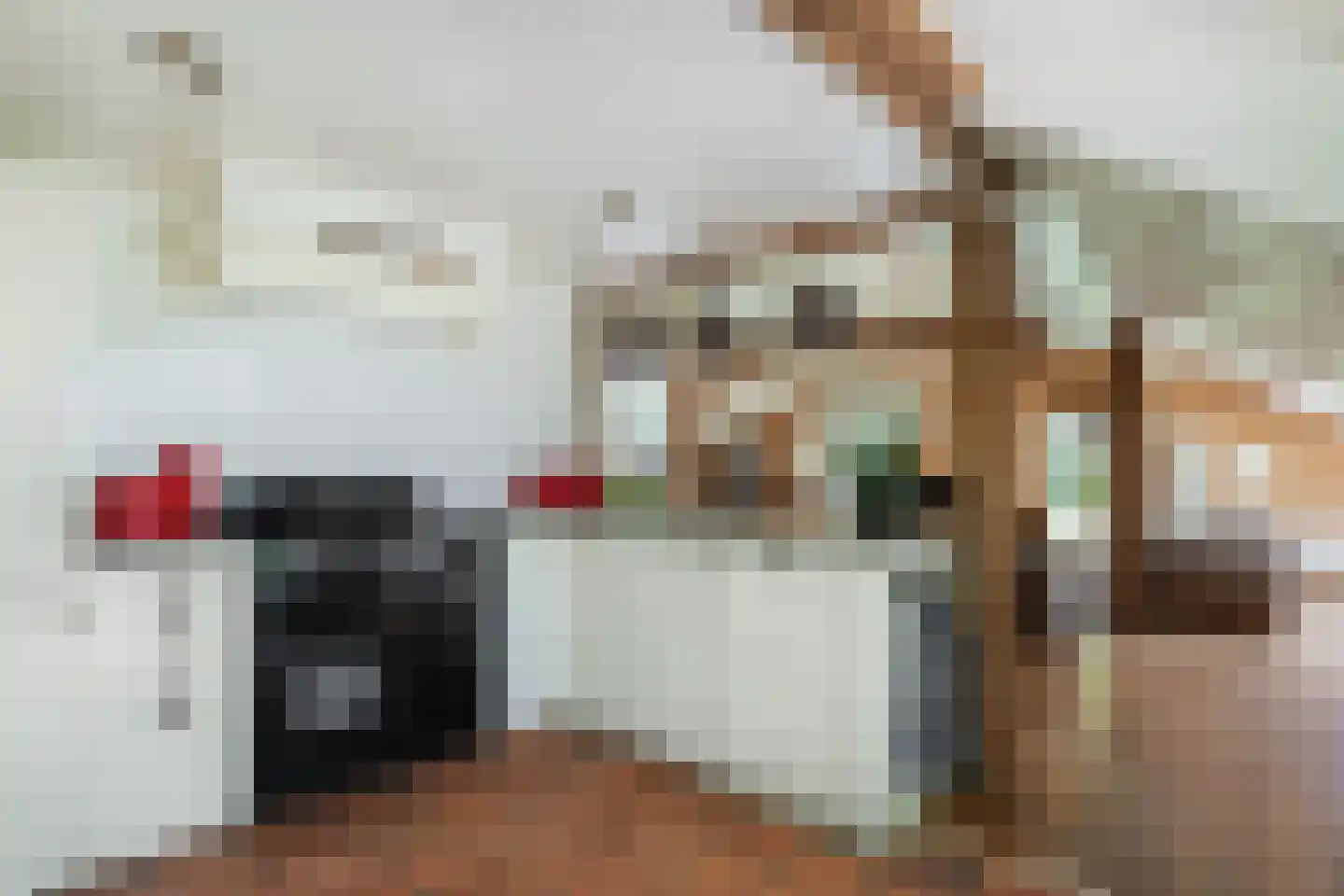 Nieuwedijk 9 Eexterzandvoort thumbnail 16
