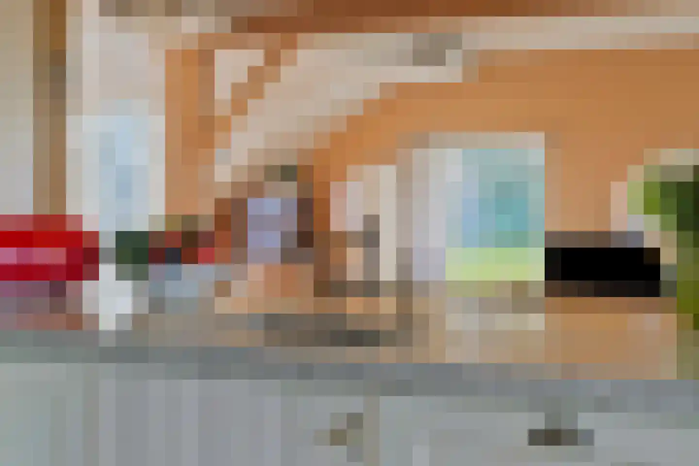 Nieuwedijk 9 Eexterzandvoort thumbnail 17