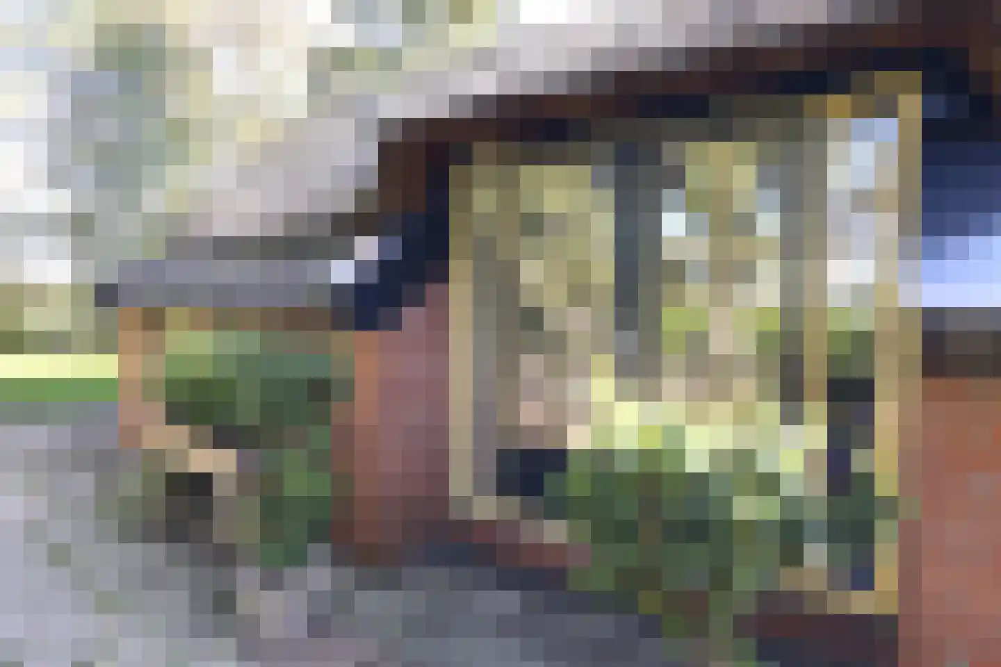 Nieuwedijk 9 Eexterzandvoort thumbnail 29