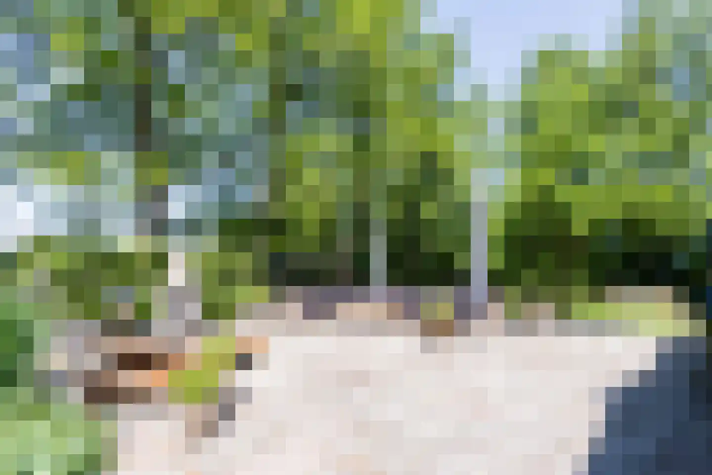 Nieuwedijk 9 Eexterzandvoort thumbnail 30