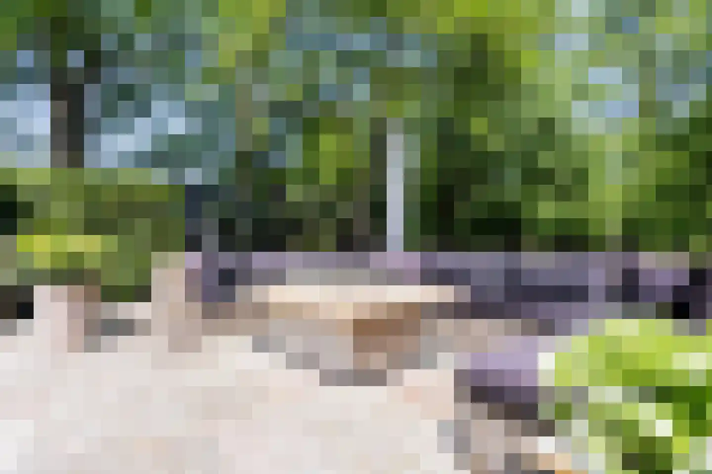 Nieuwedijk 9 Eexterzandvoort thumbnail 31