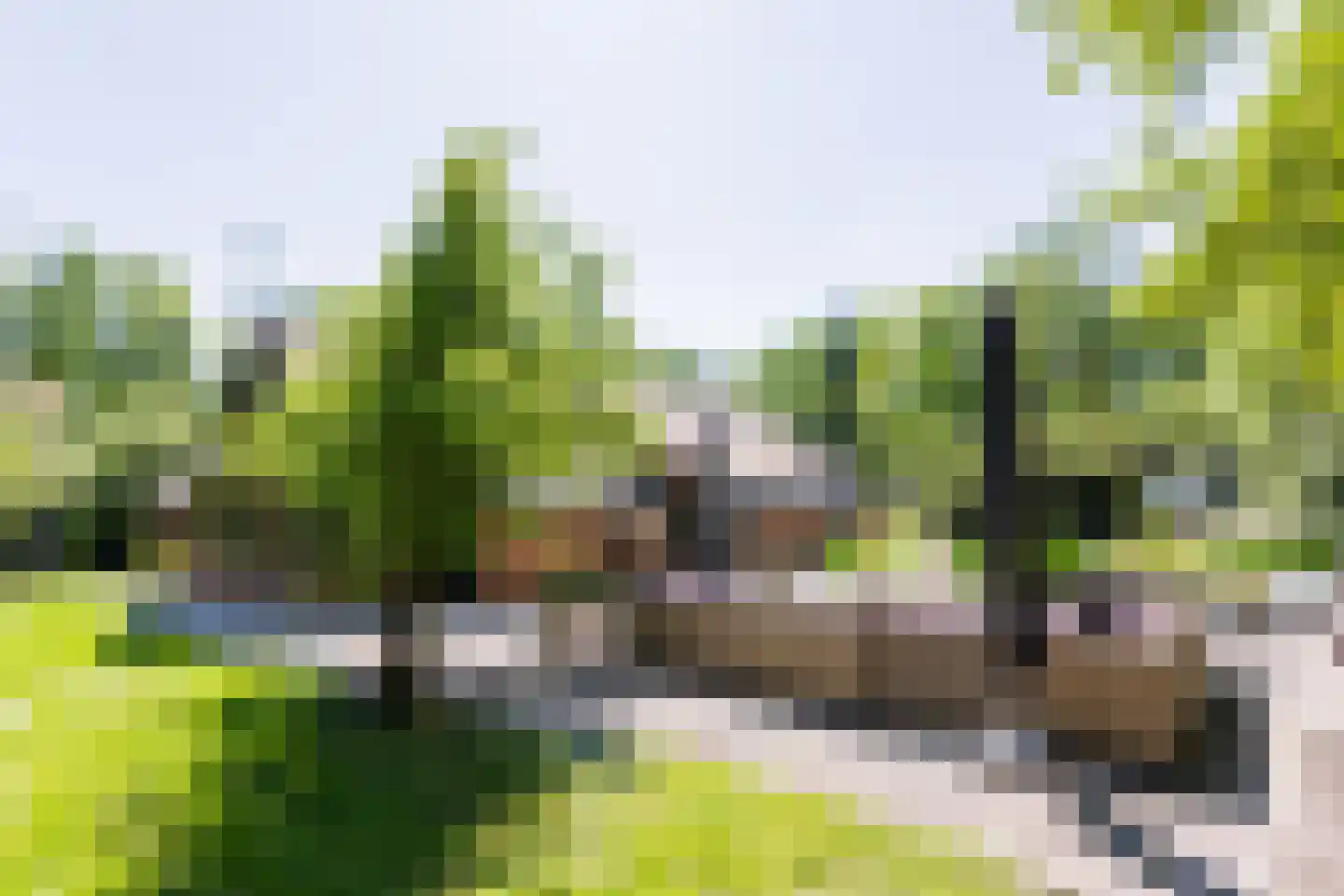 Nieuwedijk 9 Eexterzandvoort thumbnail 33
