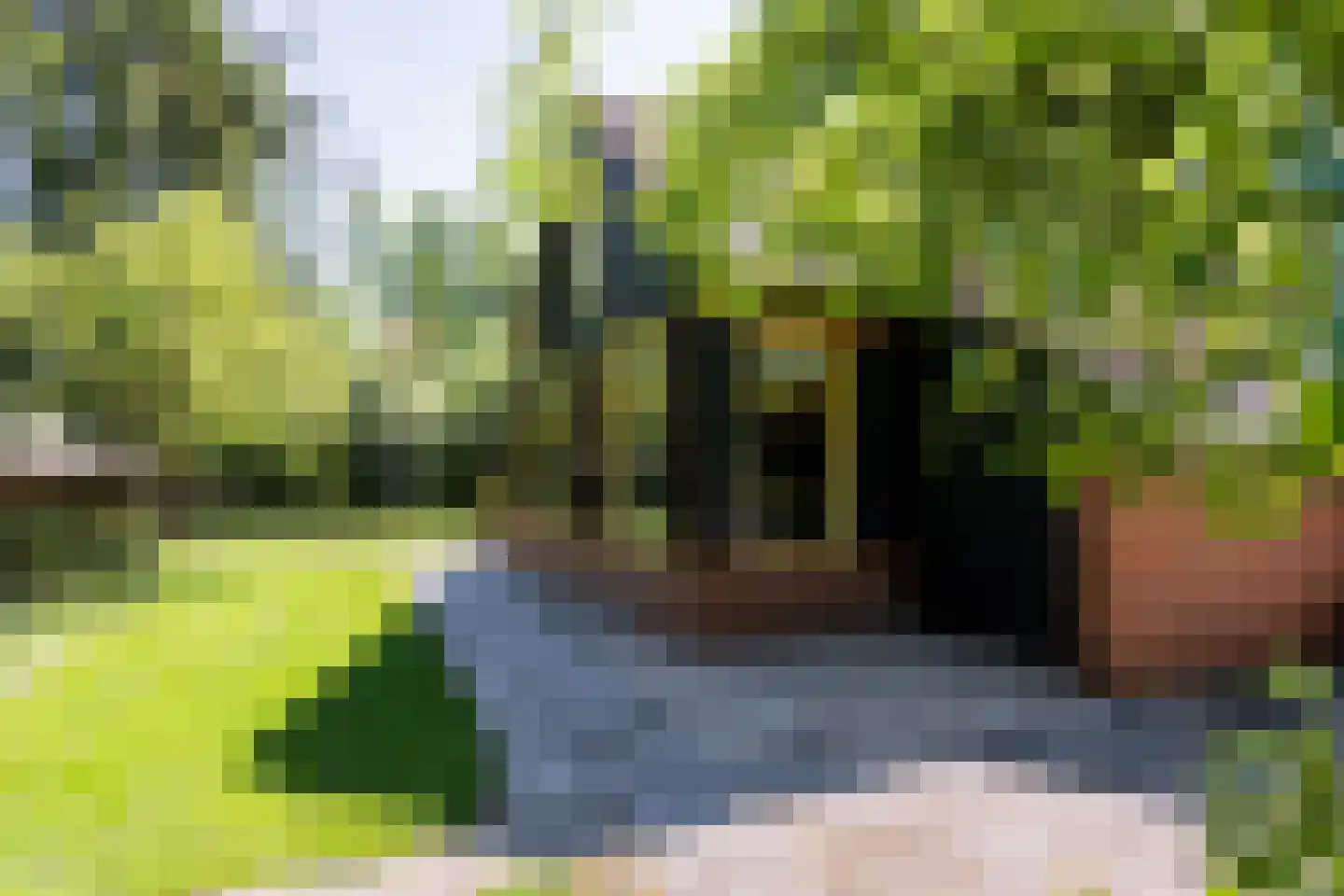 Nieuwedijk 9 Eexterzandvoort thumbnail 34