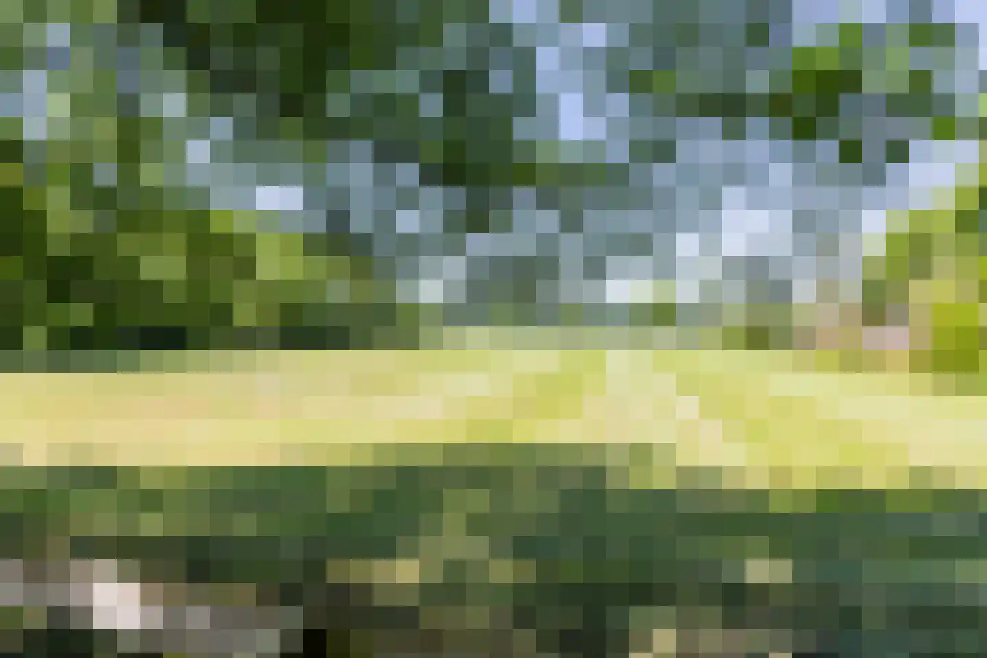 Nieuwedijk 9 Eexterzandvoort thumbnail 37