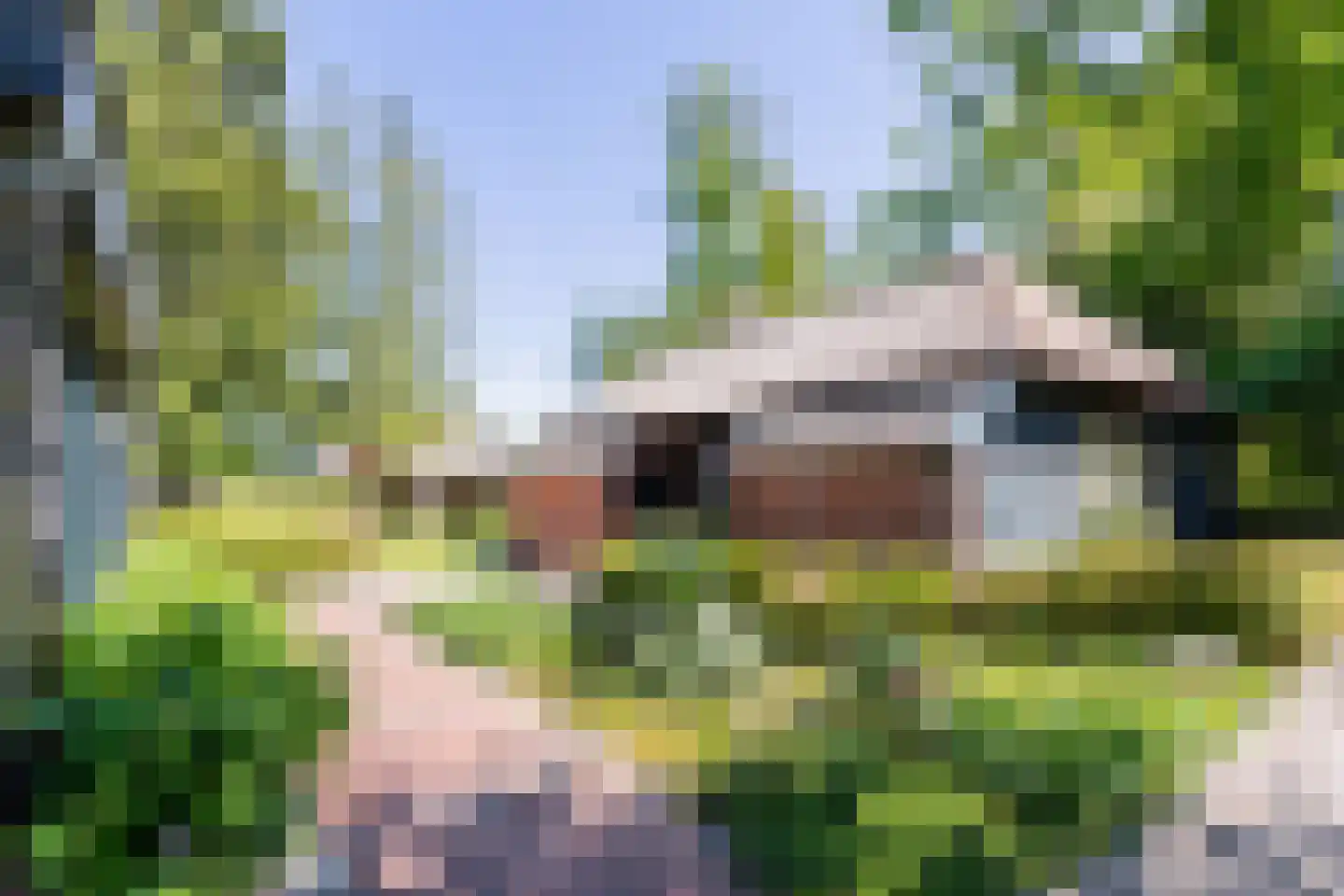 Nieuwedijk 9 Eexterzandvoort thumbnail 38