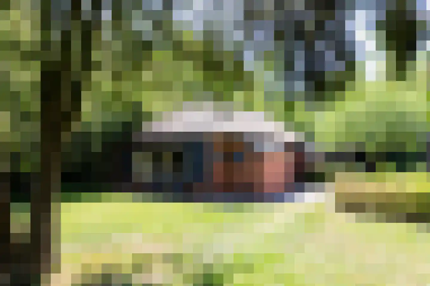Nieuwedijk 9 Eexterzandvoort thumbnail 39
