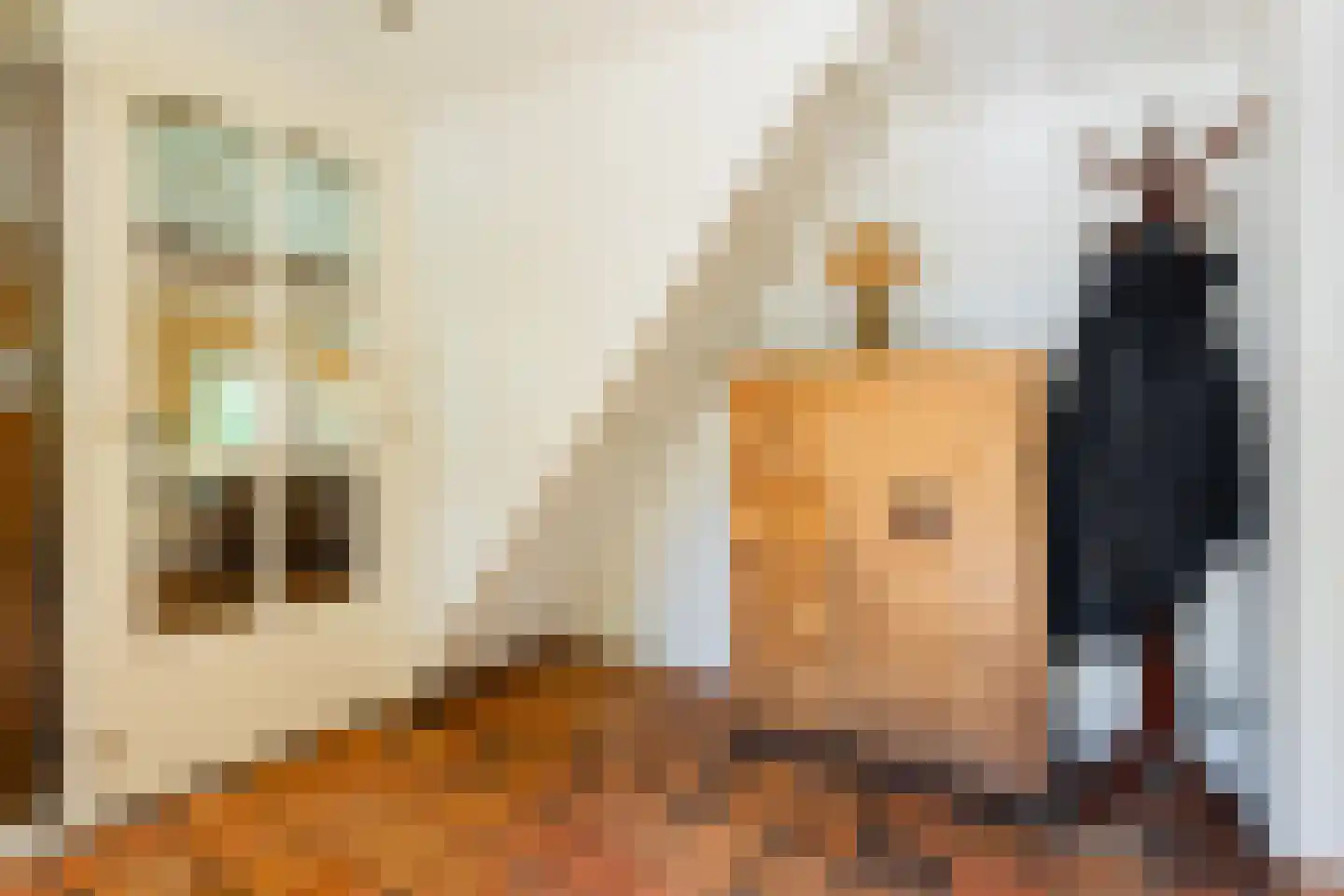 Nieuwedijk 9 Eexterzandvoort thumbnail 4