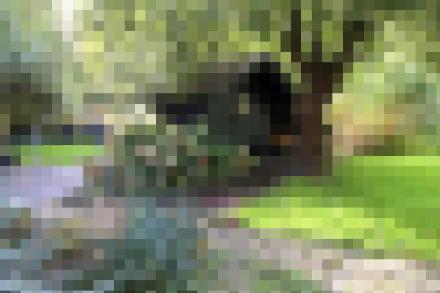 Nieuwedijk 9 Eexterzandvoort thumbnail 42