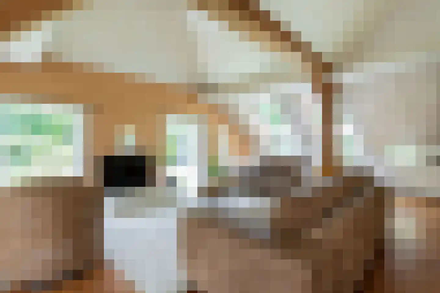 Nieuwedijk 9 Eexterzandvoort thumbnail 5