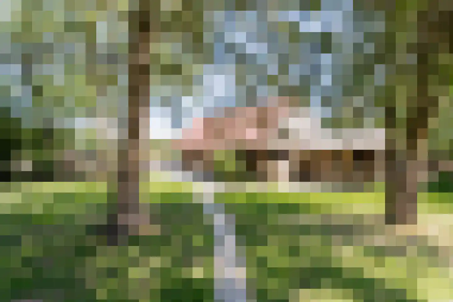 Nieuwedijk 9 Eexterzandvoort thumbnail 51