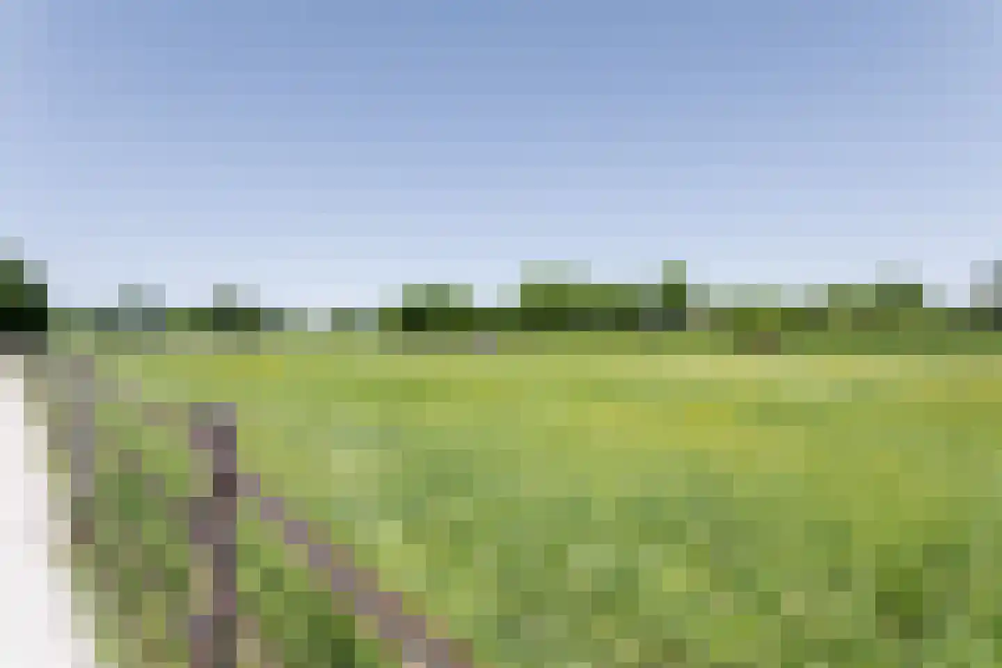 Nieuwedijk 9 Eexterzandvoort thumbnail 54