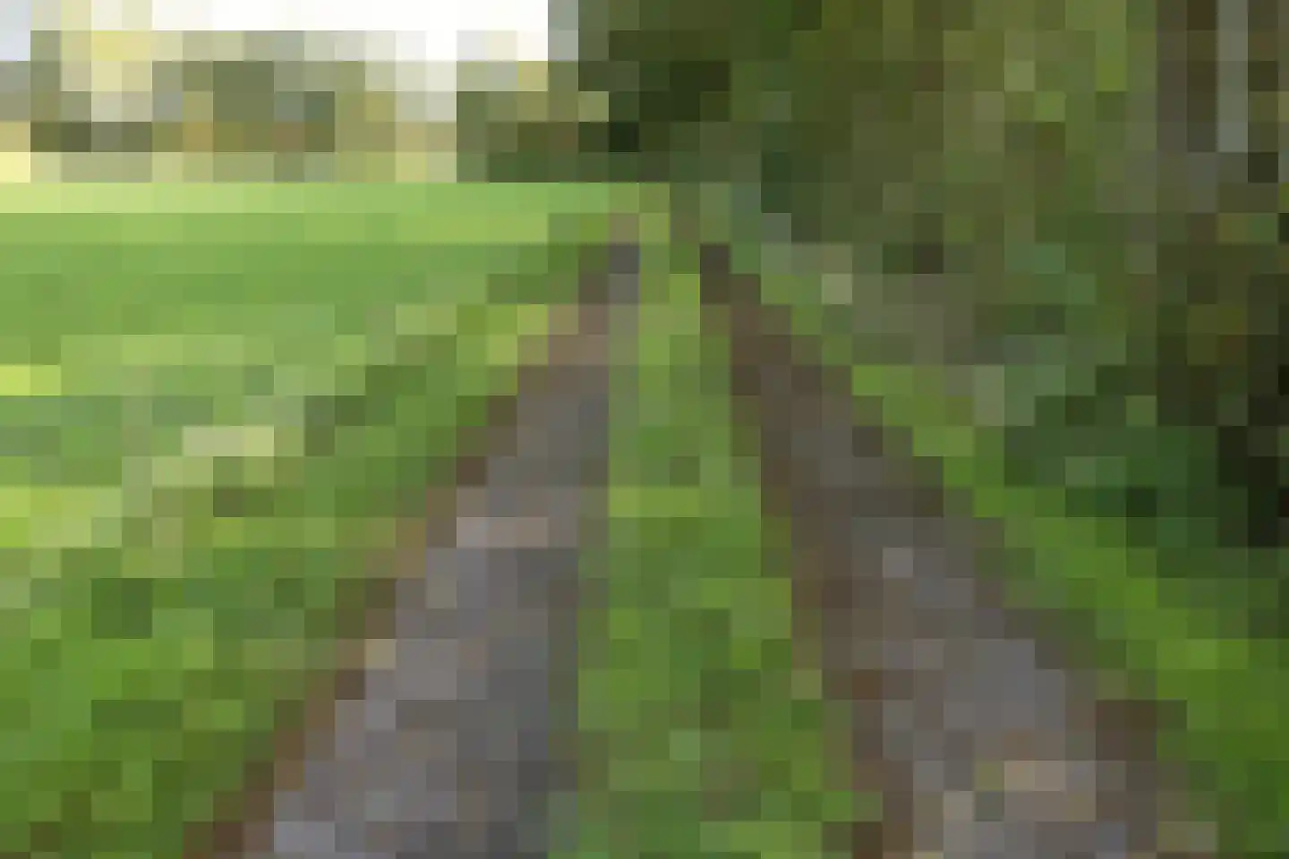 Nieuwedijk 9 Eexterzandvoort thumbnail 57