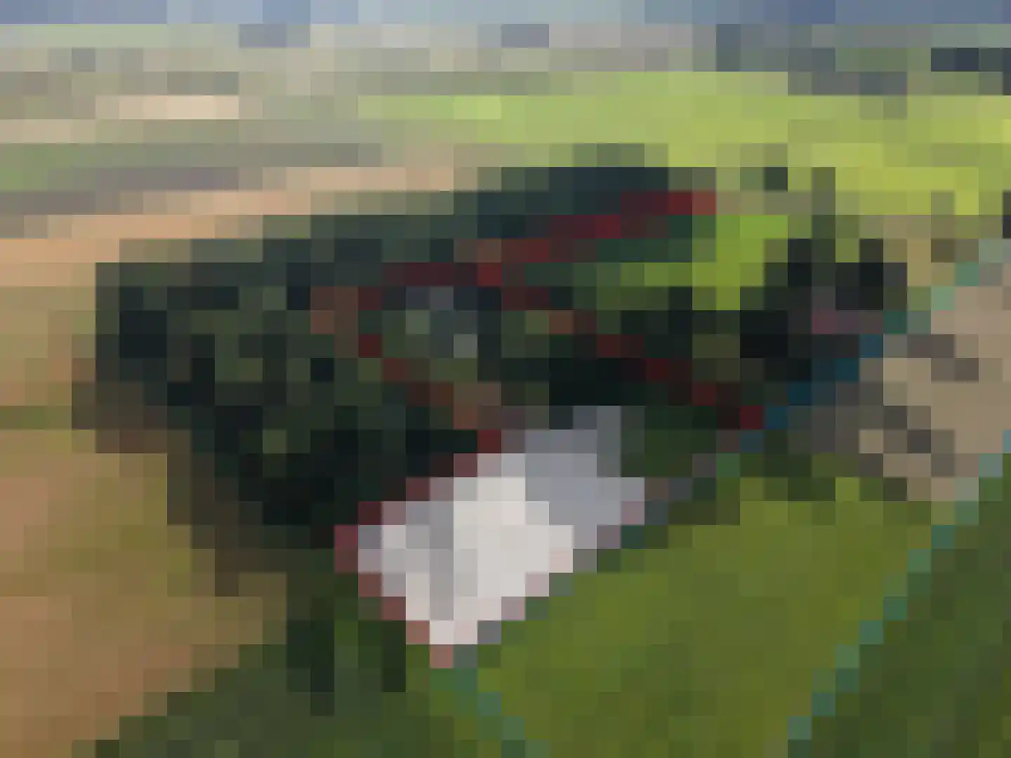 Nieuwedijk 9 Eexterzandvoort thumbnail 59