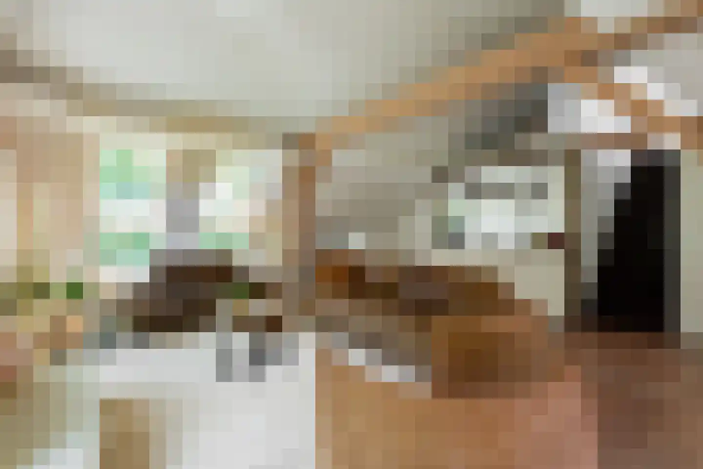 Nieuwedijk 9 Eexterzandvoort thumbnail 6