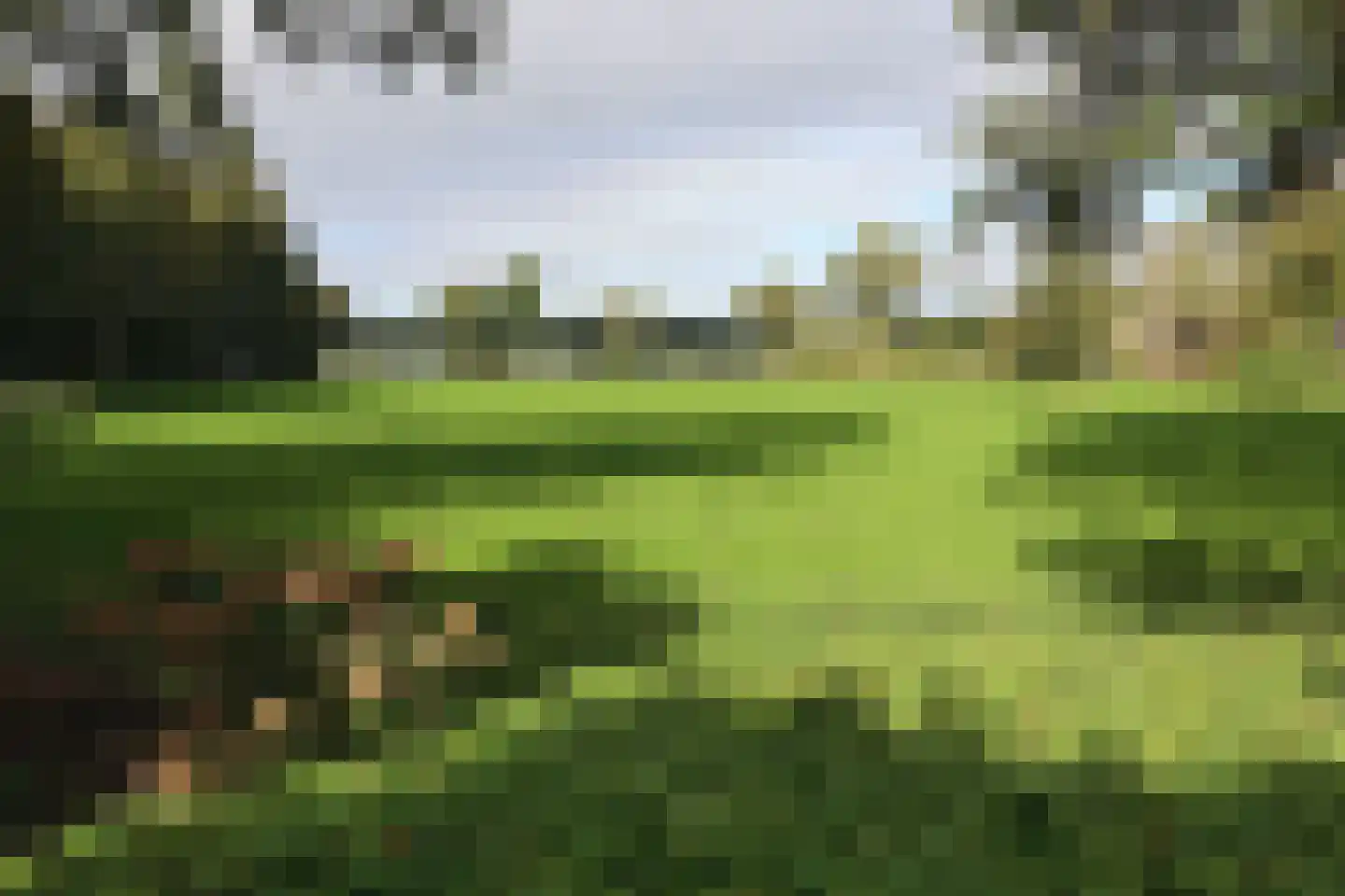 Nieuwedijk 9 Eexterzandvoort thumbnail 60