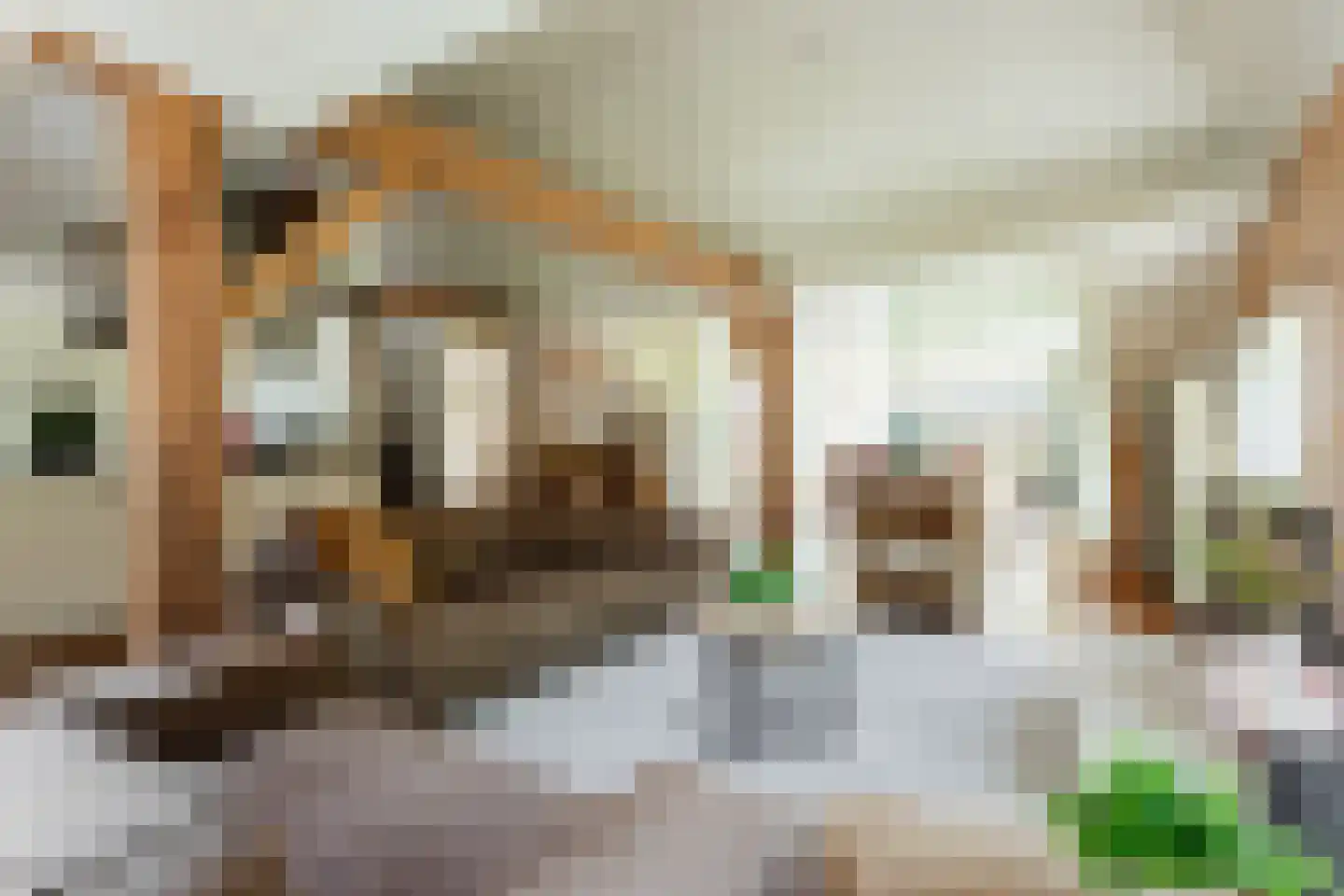 Nieuwedijk 9 Eexterzandvoort thumbnail 8