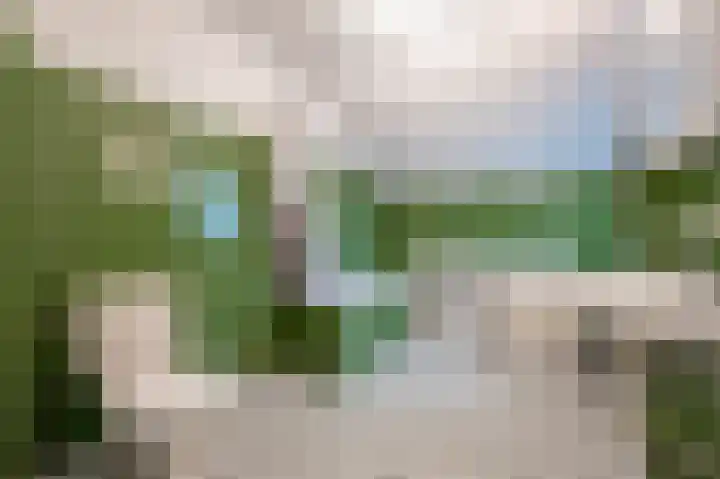 Nieuwegeer 20 Mijnsheerenland thumbnail 20